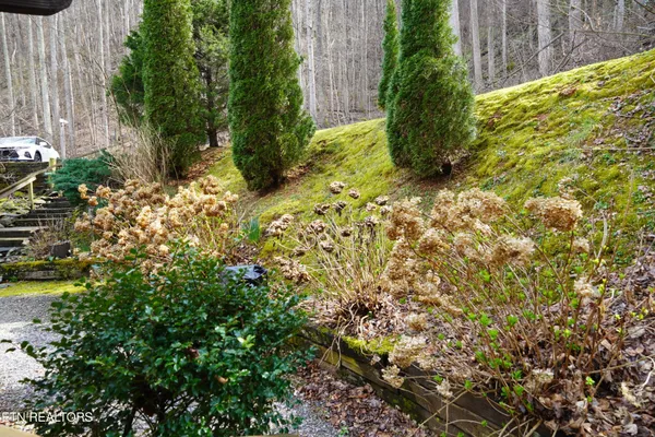 a backyard of a house with lots of green space