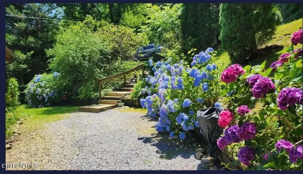 a view of a back yard
