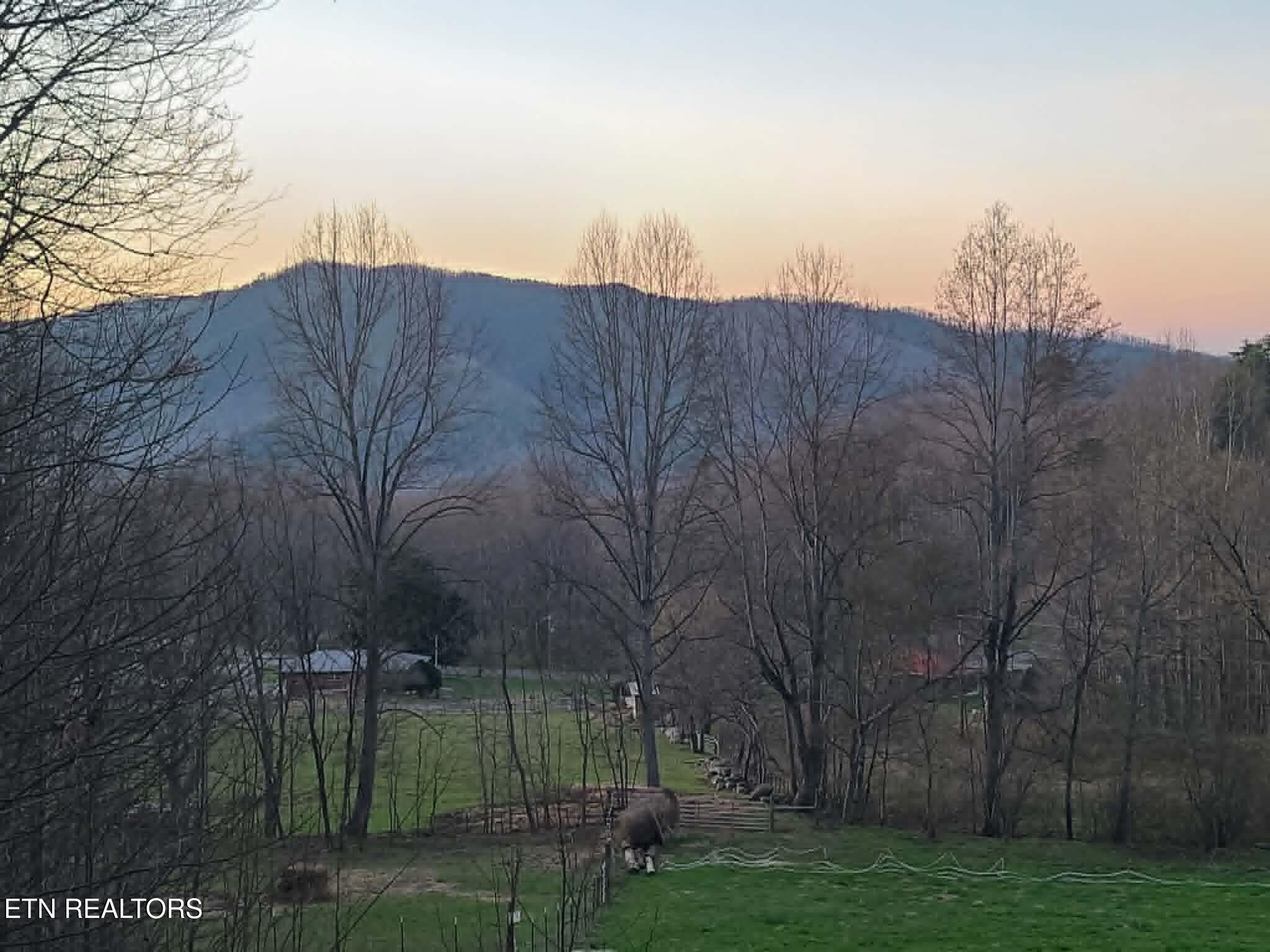 994 Emilyville Way Cosby, TN 37722 - Photo 2 of 24 a view of a outdoor space
