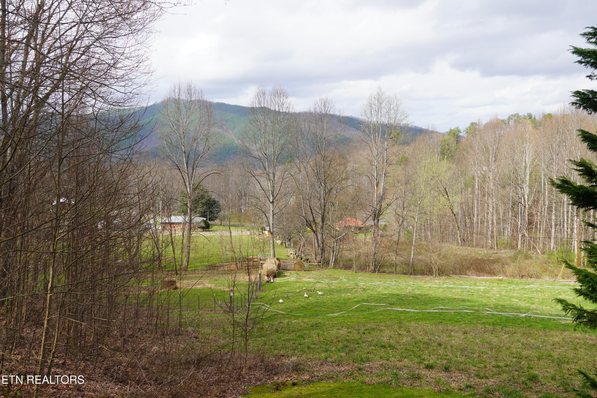 994 Emilyville Way Cosby, TN 37722 - Photo 21 of 24 a view of a back yard