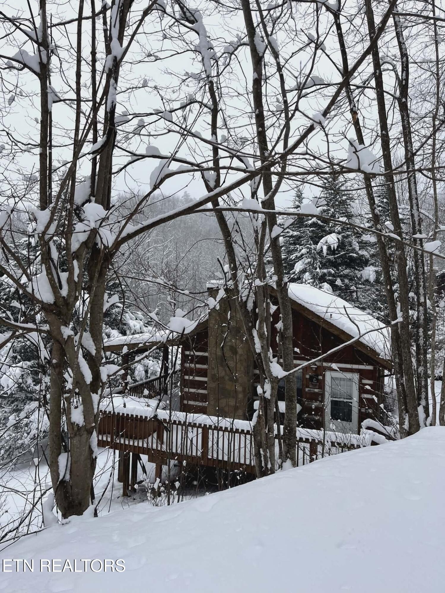 994 Emilyville Way Cosby, TN 37722 - Photo 23 of 24 a view of outdoor space with seating space
