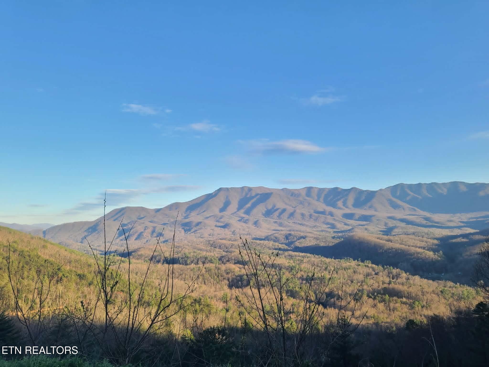 994 Emilyville Way Cosby, TN 37722 - Photo 24 of 24 a view of mountain with lake
