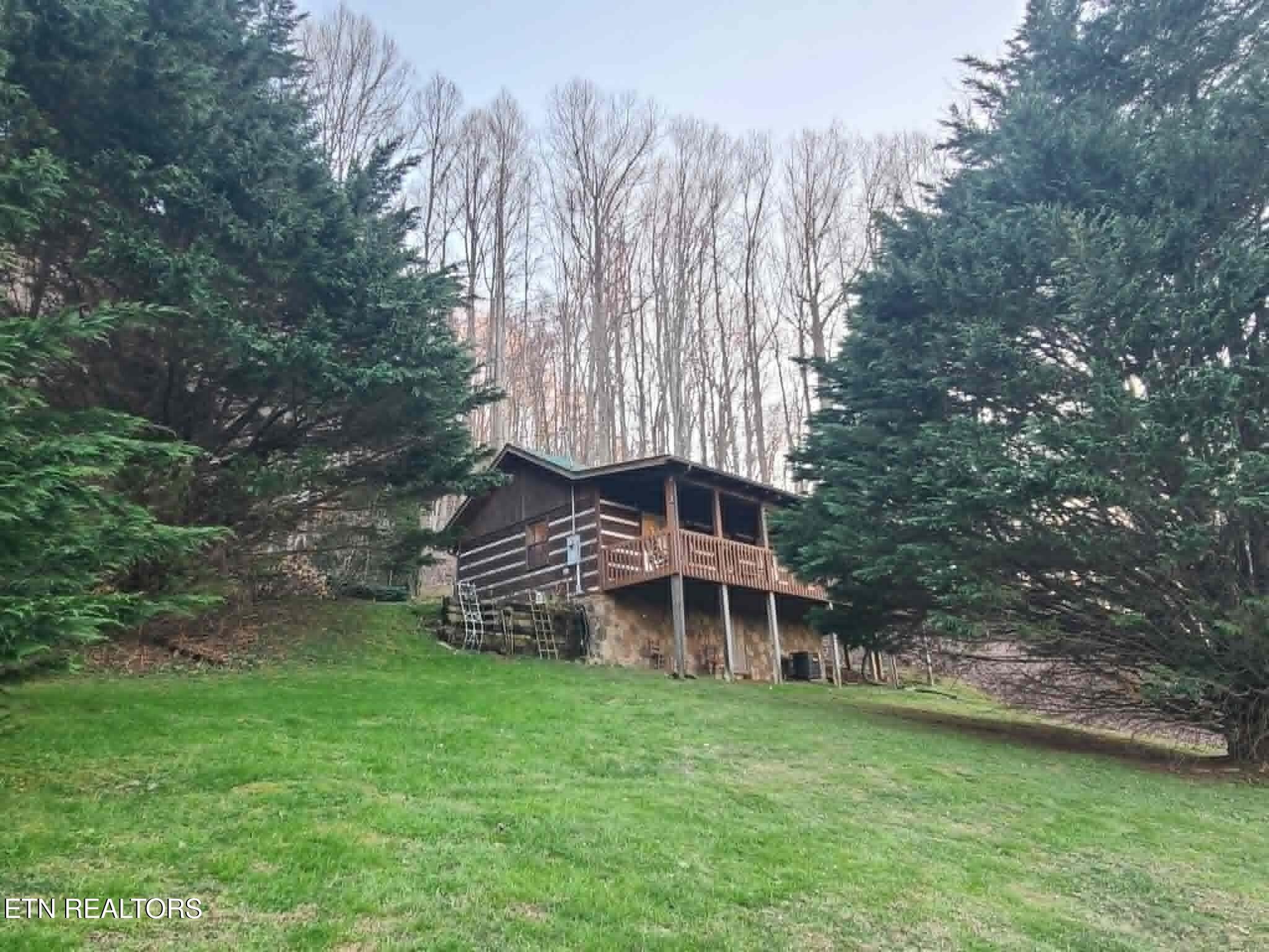 994 Emilyville Way Cosby, TN 37722 - Photo 5 of 24 a view of a house with a yard