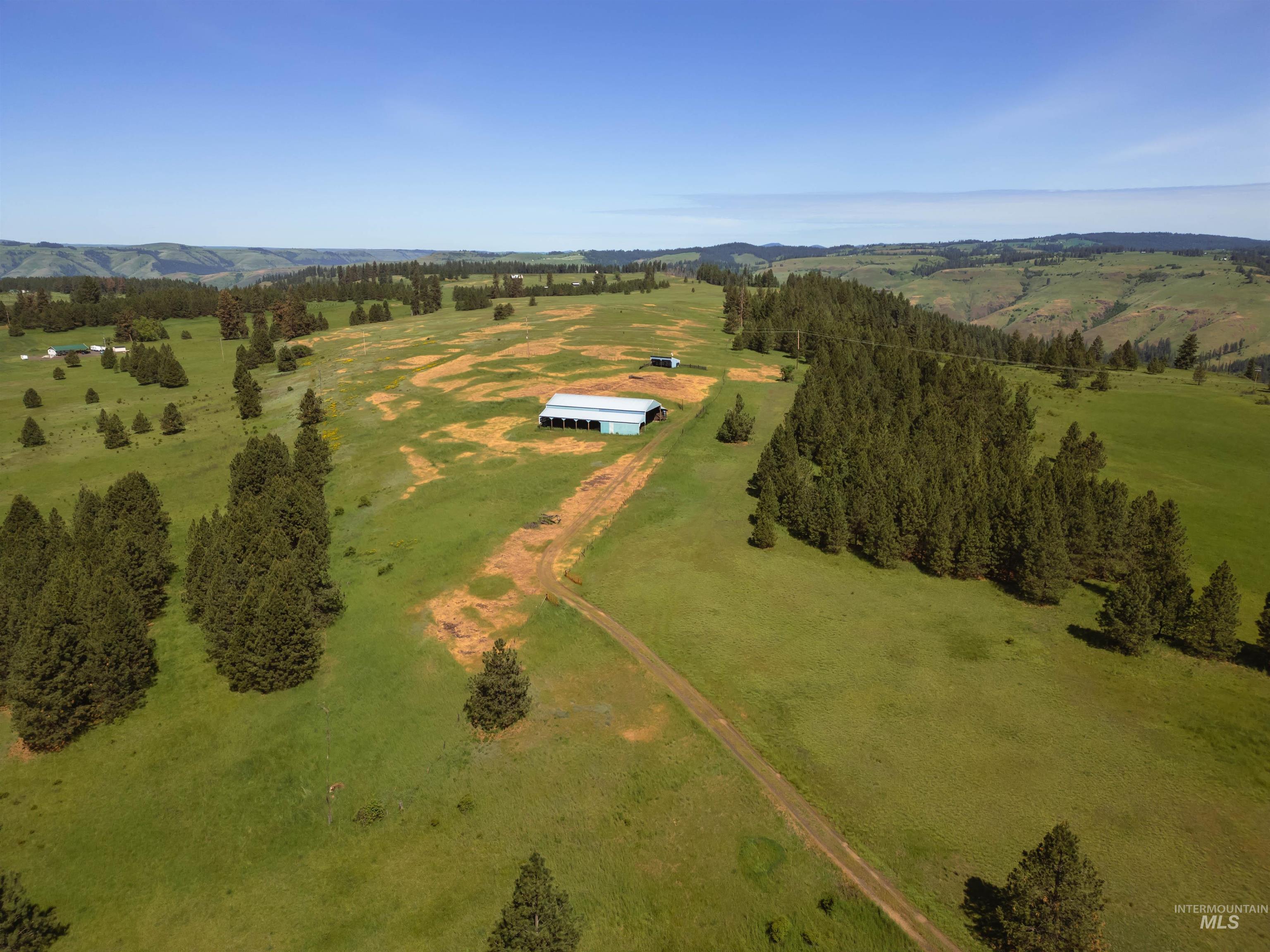 216 Ulmer Road Kooskia, ID 83539 - Photo 10 of 47