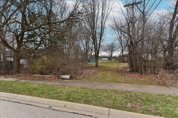 a backyard of a house with lots of green space