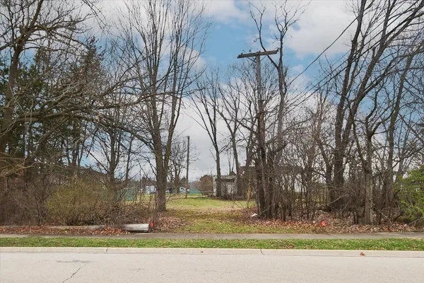 a view of a yard with large trees