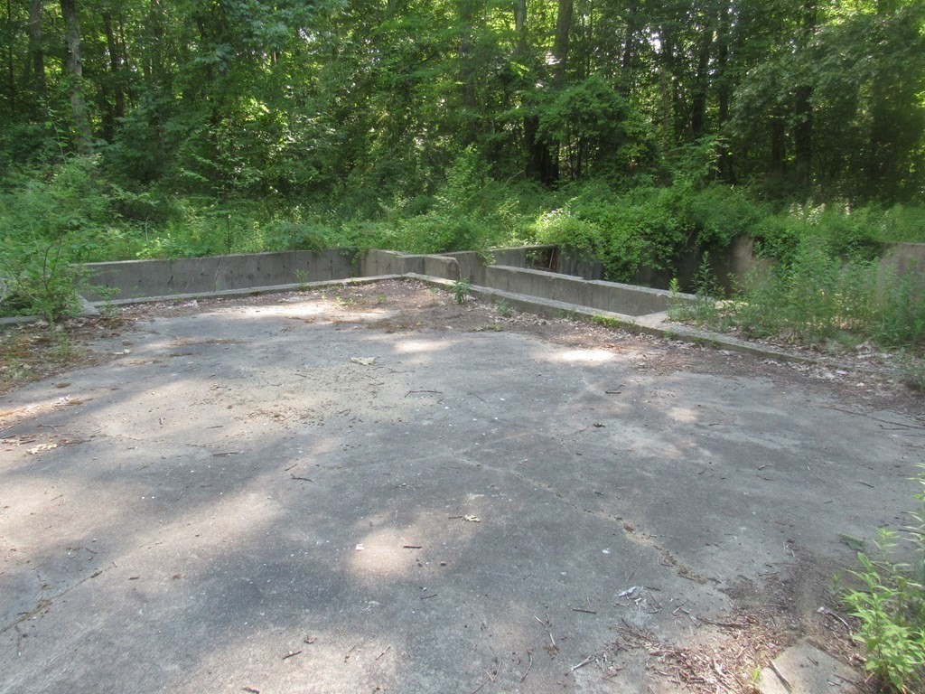 104 King George Drive Boxford, MA 01921 - Photo 2 of 12 a view of a forest with trees in the background