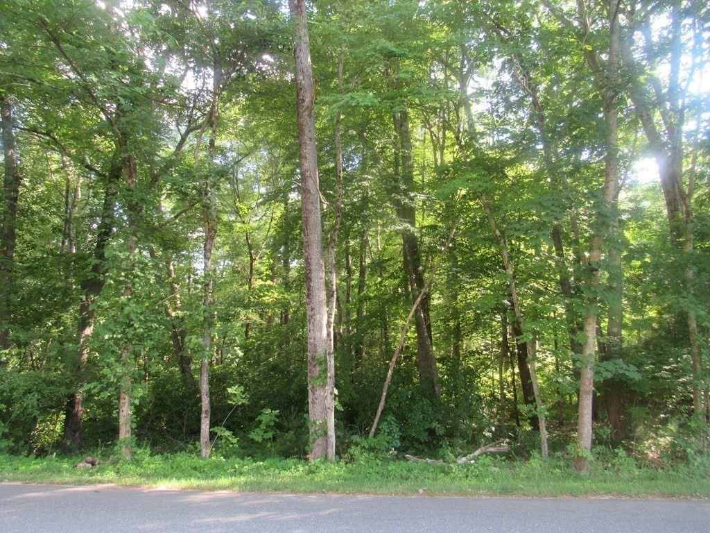 104 King George Drive Boxford, MA 01921 - Photo 3 of 12 a view of a forest that has large trees