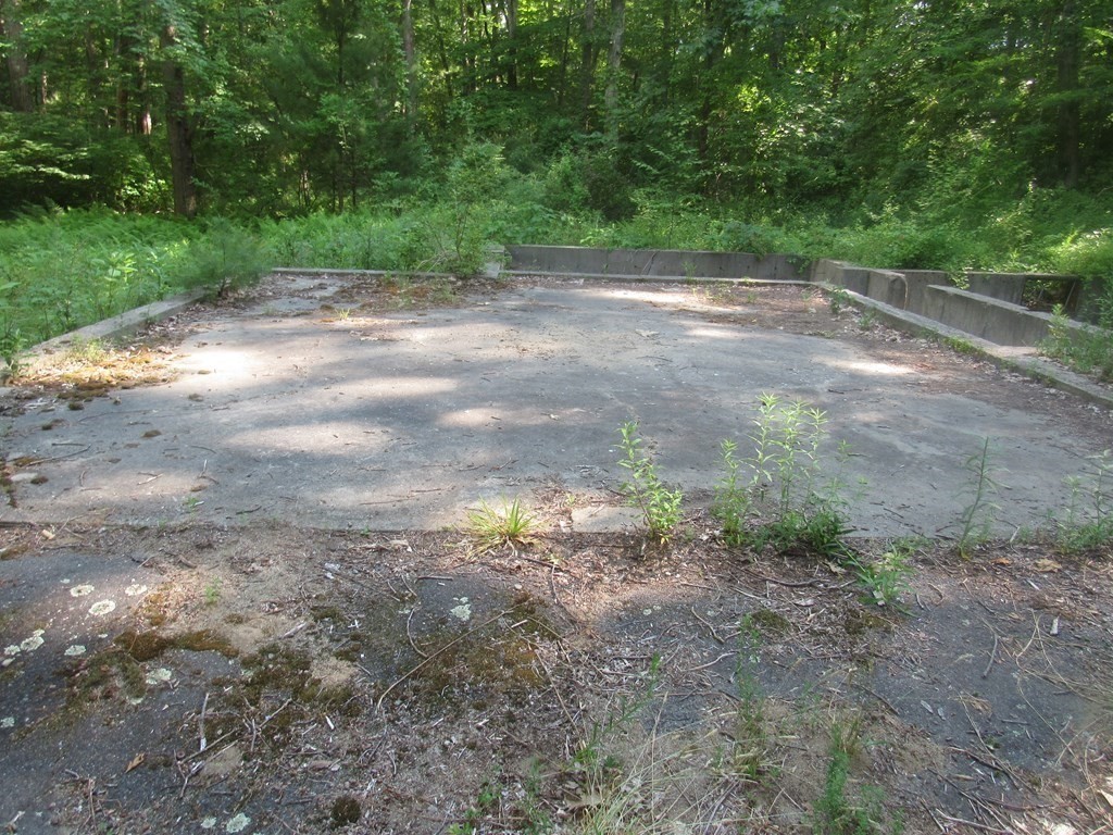 104 King George Drive Boxford, MA 01921 - Photo 6 of 12 a view of a yard with a tree