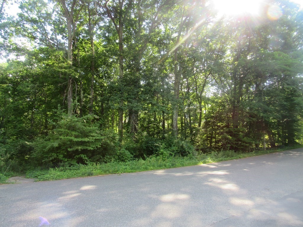 104 King George Drive Boxford, MA 01921 - Photo 9 of 12 a view of a yard with a trees