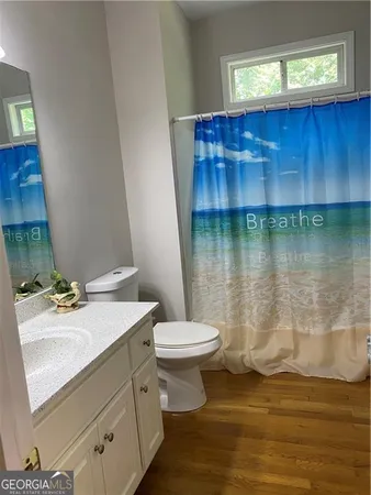 a bathroom with a sink a toilet and vanity