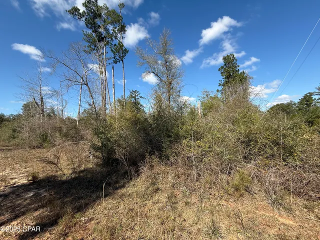 $12,000 | 0 Tanager Court, Marianna, FL 32448