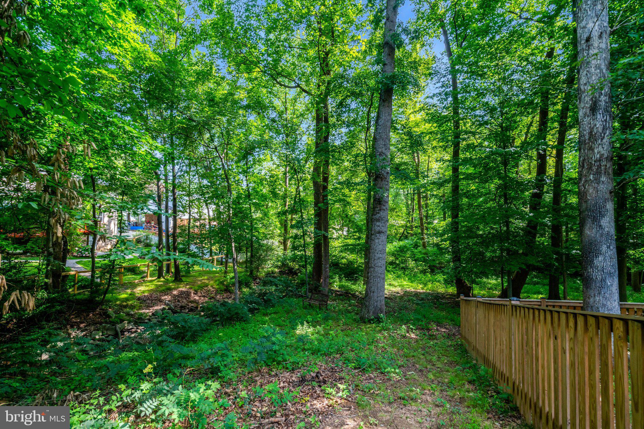 7217 Reservation Drive Springfield, VA 22153 - Photo 54 of 57
