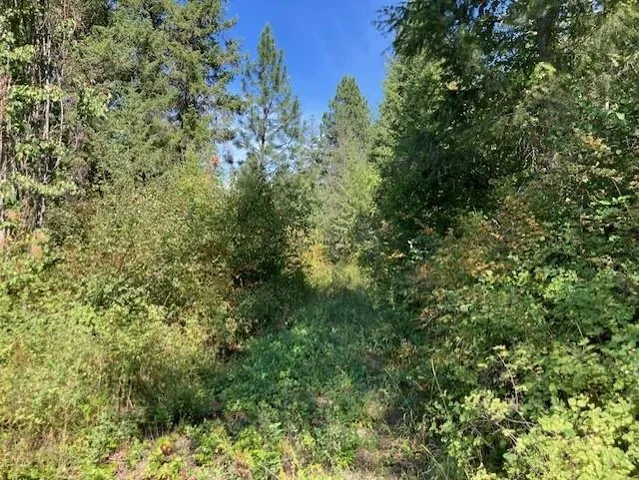 $180,000 | 2462 X Wa-25 Highway, Kettle Falls, WA 99126