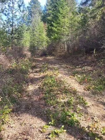 $160,000 | 2462 X Highway 25, Evans, WA 99126