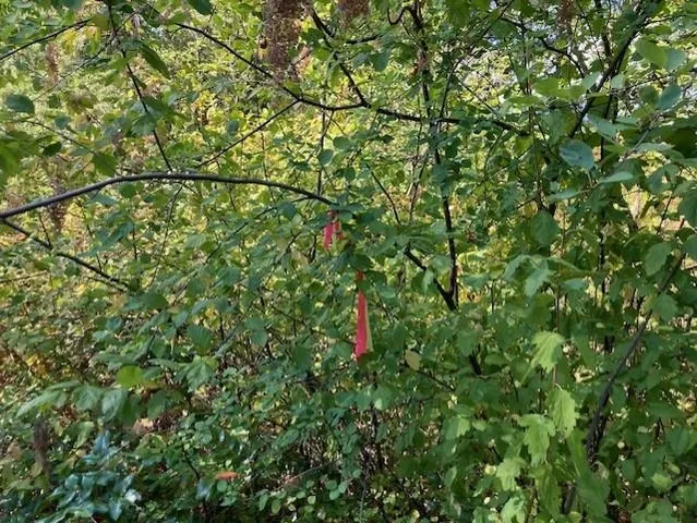 $180,000 | 2462 X Wa-25 Highway, Kettle Falls, WA 99126