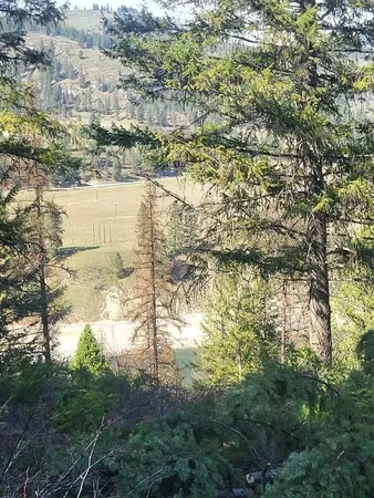 $160,000 | 2462 X Highway 25, Evans, WA 99126