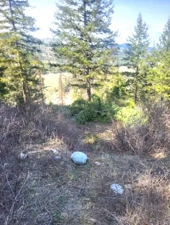 $160,000 | 2462 X Highway 25, Evans, WA 99126