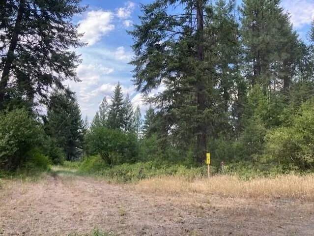 $180,000 | 2462 X Wa-25 Highway, Kettle Falls, WA 99126