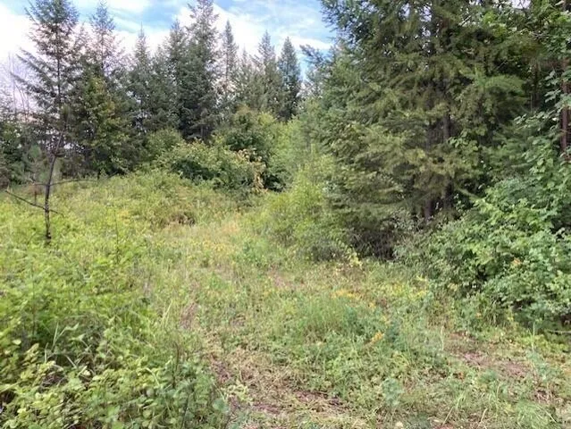 $180,000 | 2462 X Wa-25 Highway, Kettle Falls, WA 99126