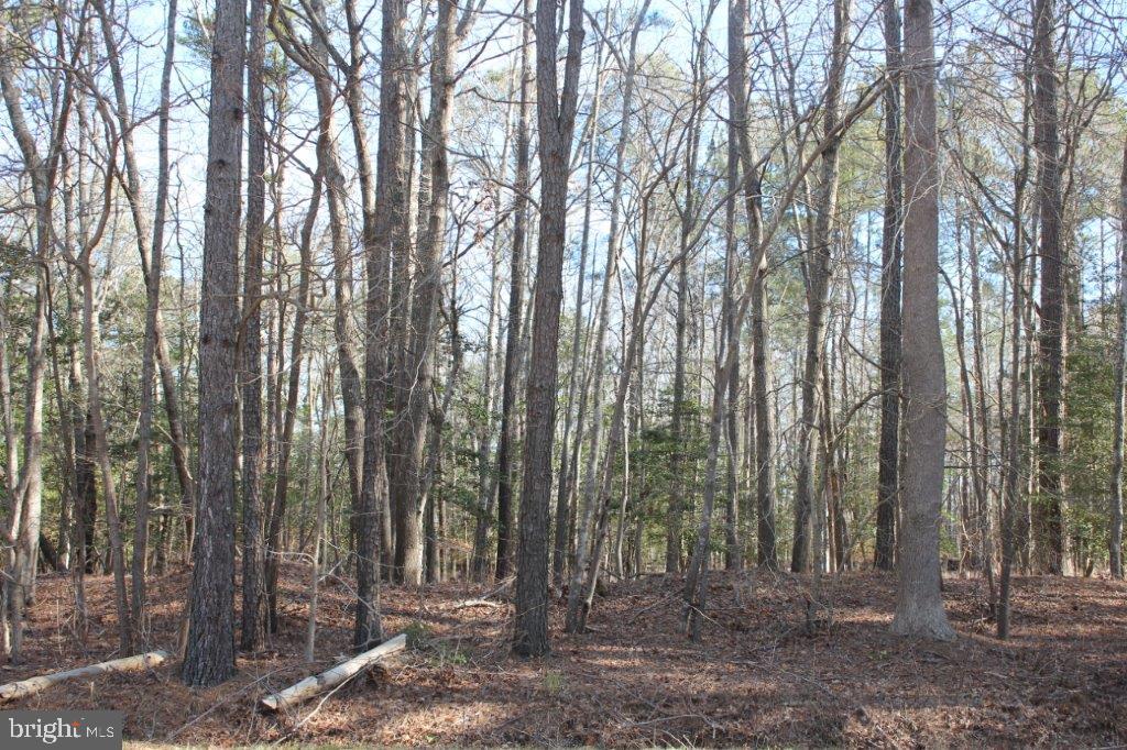 Lot 18 Croppers Island Road Newark, MD 21841 - Photo 3 of 4