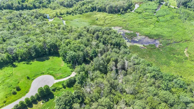 a view of a lush green forest