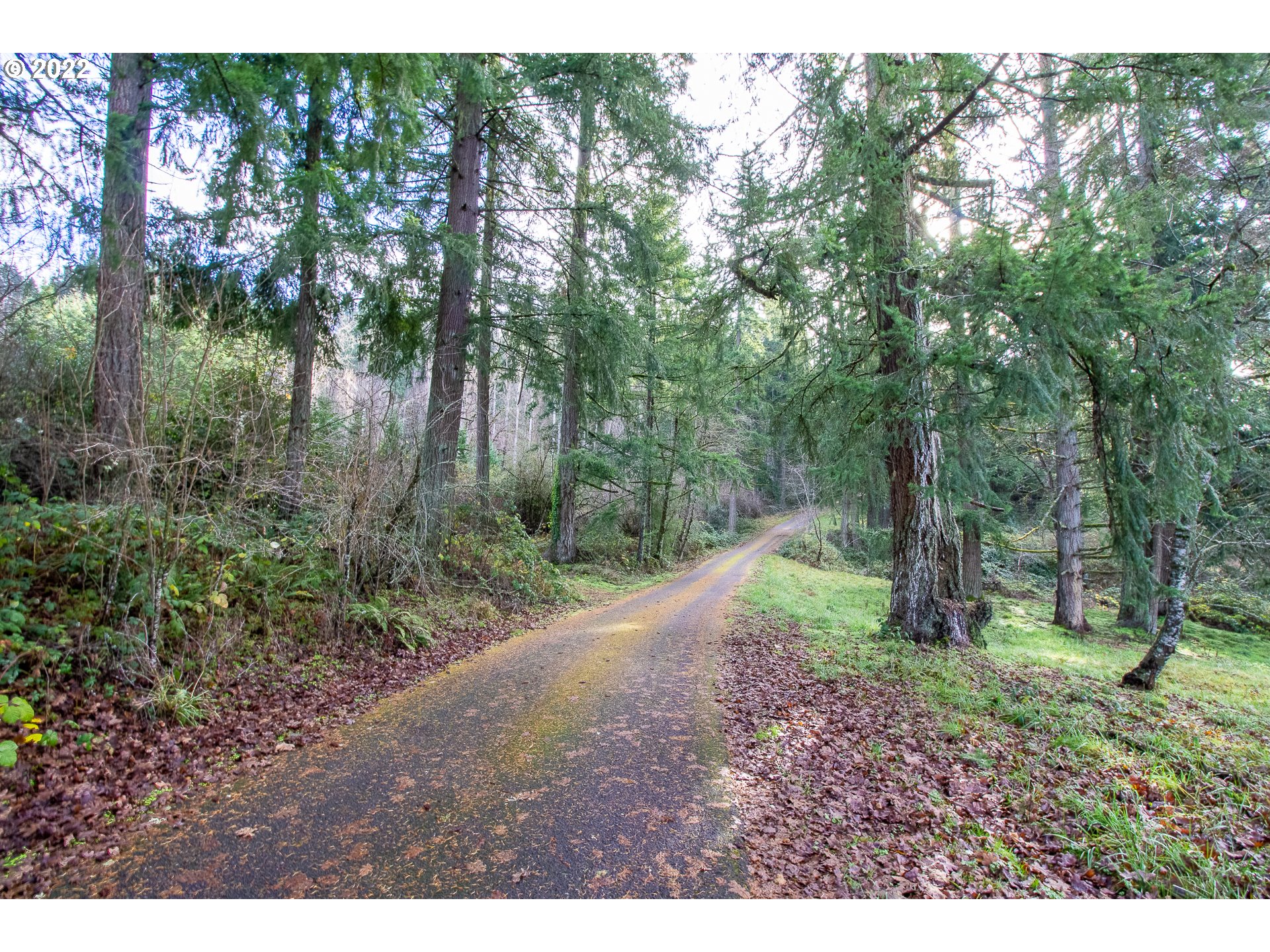 16266 Forsythe Road Oregon City, OR 97045 - Photo 2 of 8