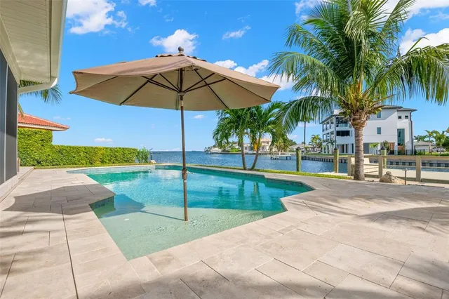 a view of a swimming pool with a lawn chairs under palm trees