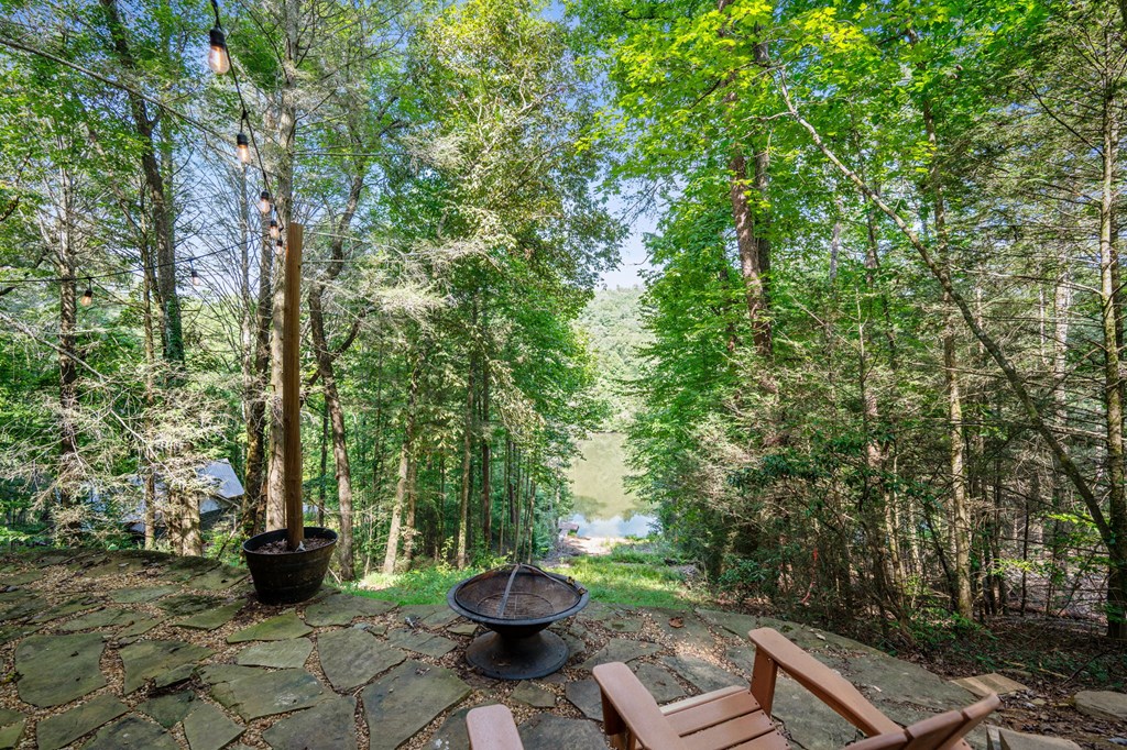 187 Bear Paw Trail Blue Ridge, GA 30513 - Photo 40 of 62