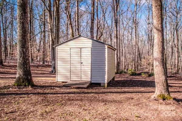 a large trees with a backyard of the house