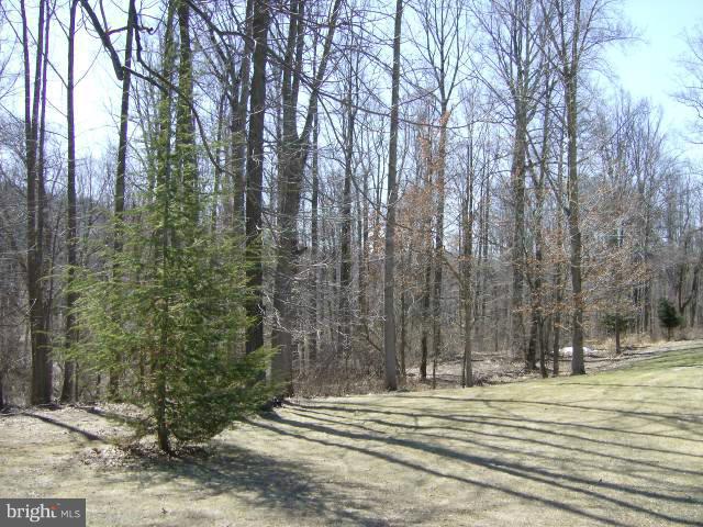 2260 Phillips Mill Road Forest Hill, MD 21050 - Photo 30 of 30 Back yard