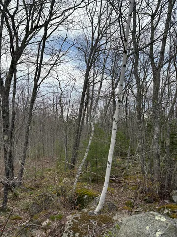 $44,900 | Lot 8 Aspen Drive, South Thomaston, ME 04858