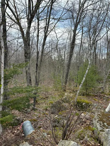$44,900 | Lot 8 Aspen Drive, South Thomaston, ME 04858