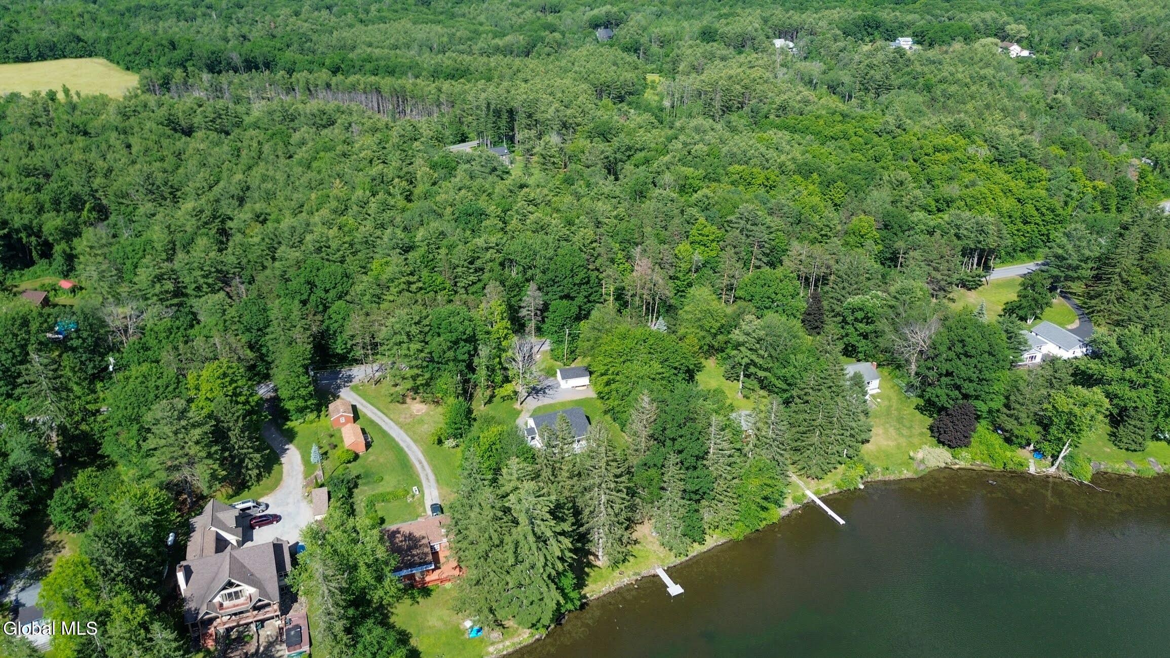 L45 Duane Lake Road Duanesburg, NY 12056 - Photo 2 of 8 6-972 N Mansion drone