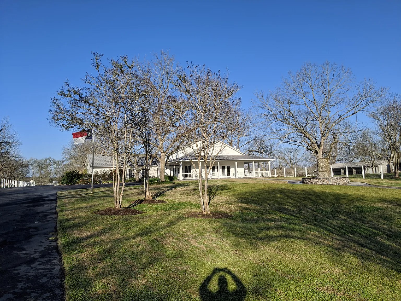 4309 Bowser Road Fulshear, TX 77441 - Photo 19 of 20 a view of road with trees