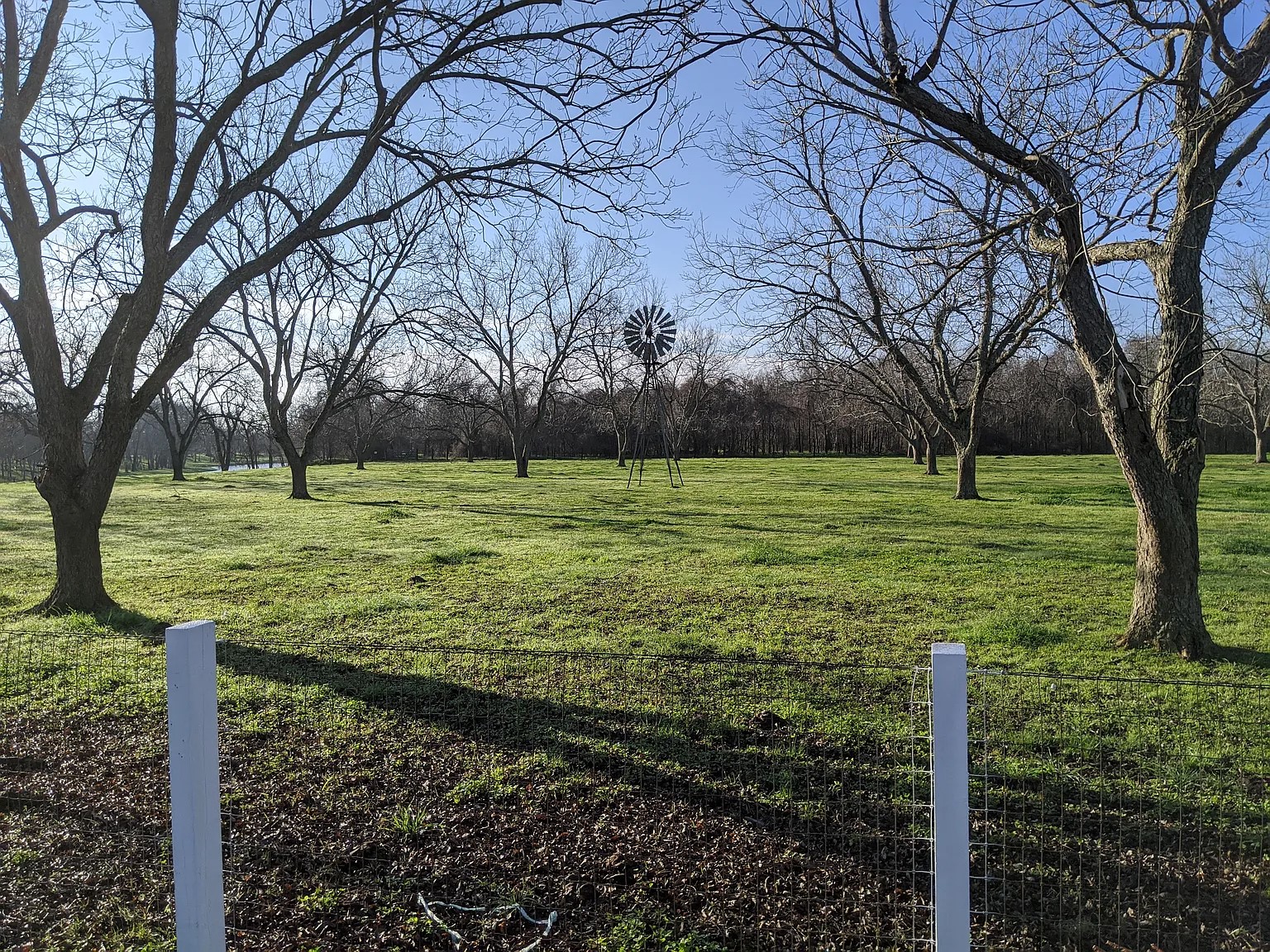 4309 Bowser Road Fulshear, TX 77441 - Photo 2 of 20 a big yard with lots of green space and trees