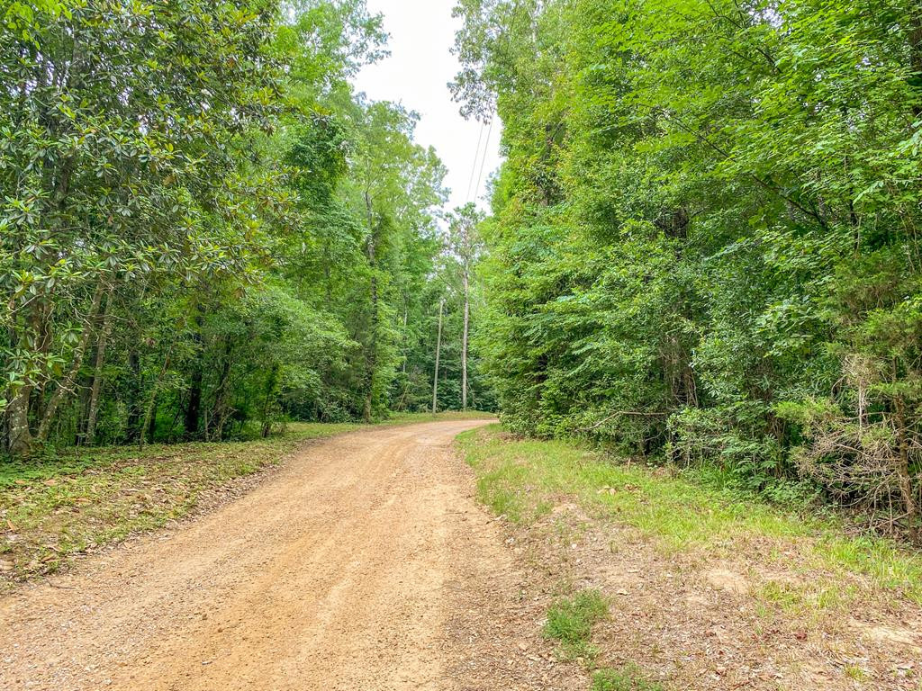 Tbd Black Bear Road Natchez, MS 39120 - Photo 1 of 30 Main View