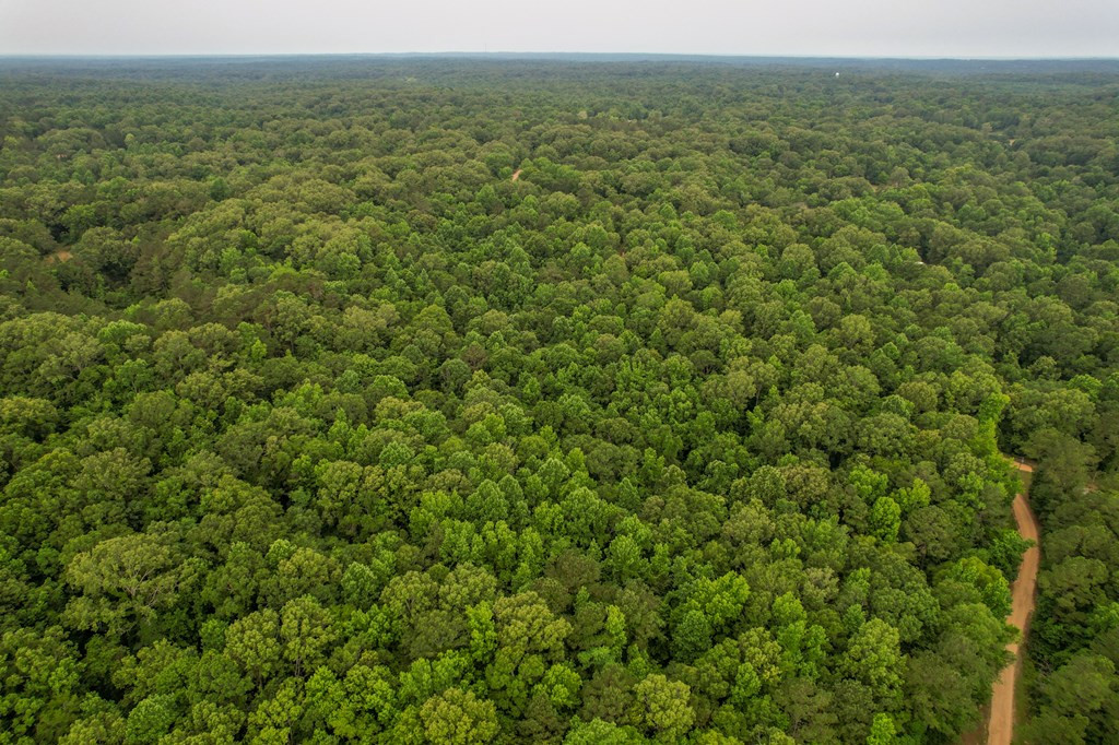 Tbd Black Bear Road Natchez, MS 39120 - Photo 14 of 30 Photo 14