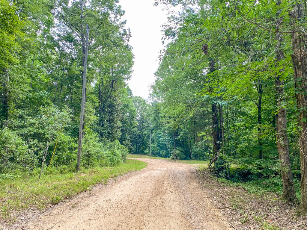 Tbd Black Bear Road Natchez, MS 39120 - Photo 15 of 30 Photo 15