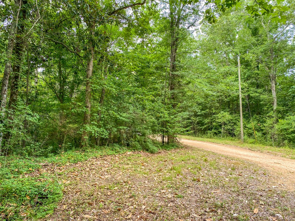 Tbd Black Bear Road Natchez, MS 39120 - Photo 18 of 30 Photo 18