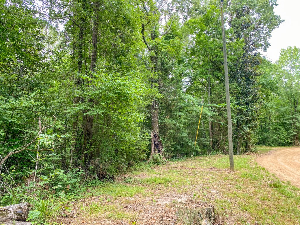 Tbd Black Bear Road Natchez, MS 39120 - Photo 20 of 30 Photo 20