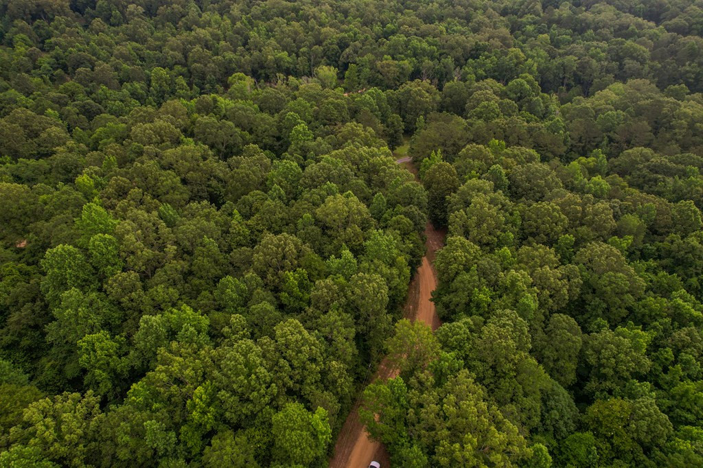 Tbd Black Bear Road Natchez, MS 39120 - Photo 3 of 30 Photo 3