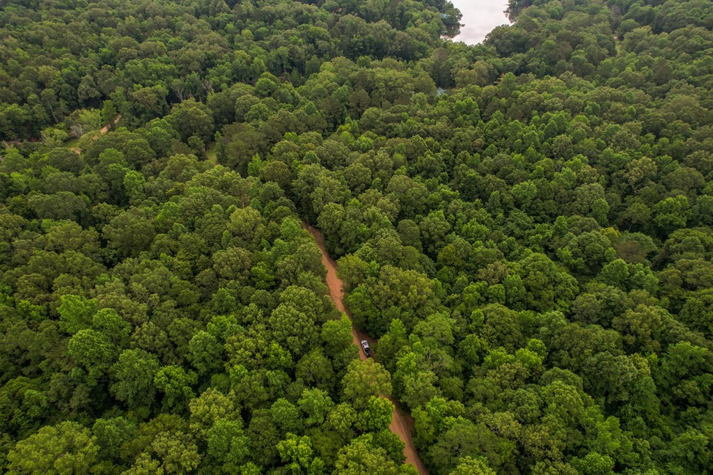 Tbd Black Bear Road Natchez, MS 39120 - Photo 4 of 30 Photo 4
