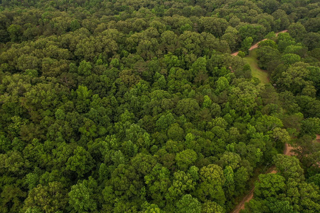 Tbd Black Bear Road Natchez, MS 39120 - Photo 7 of 30 Photo 7