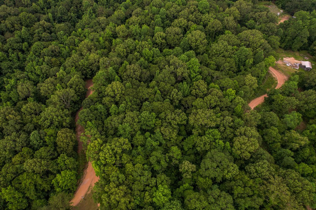 Tbd Black Bear Road Natchez, MS 39120 - Photo 10 of 30 Photo 10