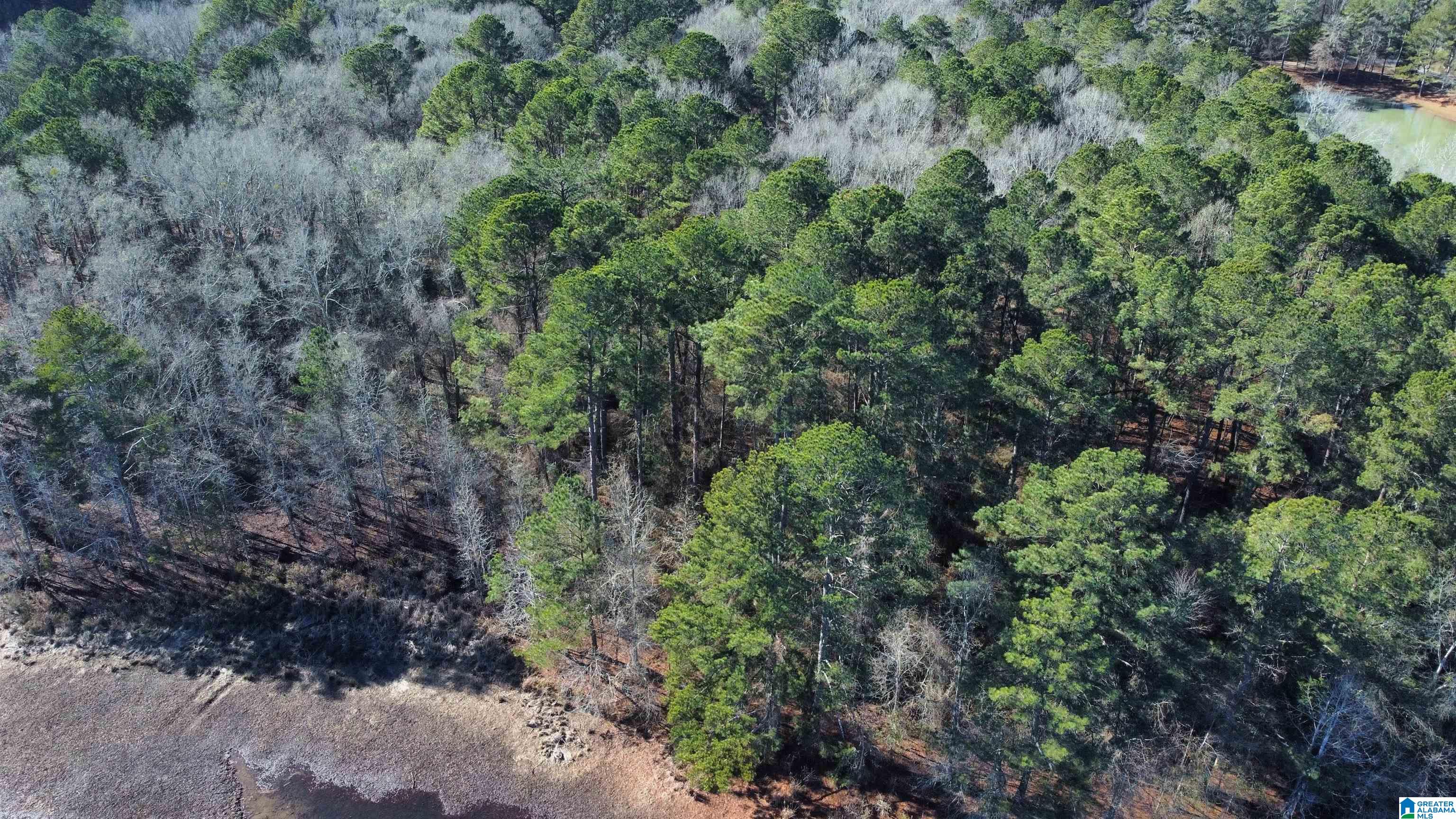 78 Highway Riverside, AL 35135 - Photo 16 of 23