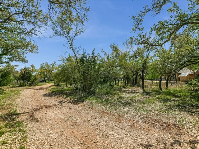 a view of a yard with a tree