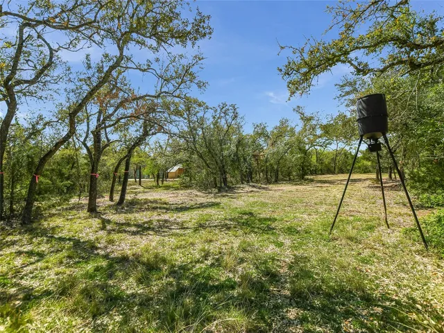 a view of a field with trees