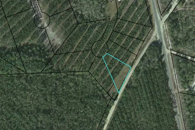 $20,000 | Lot 34 Landing Trail, Waynesville, GA 31566