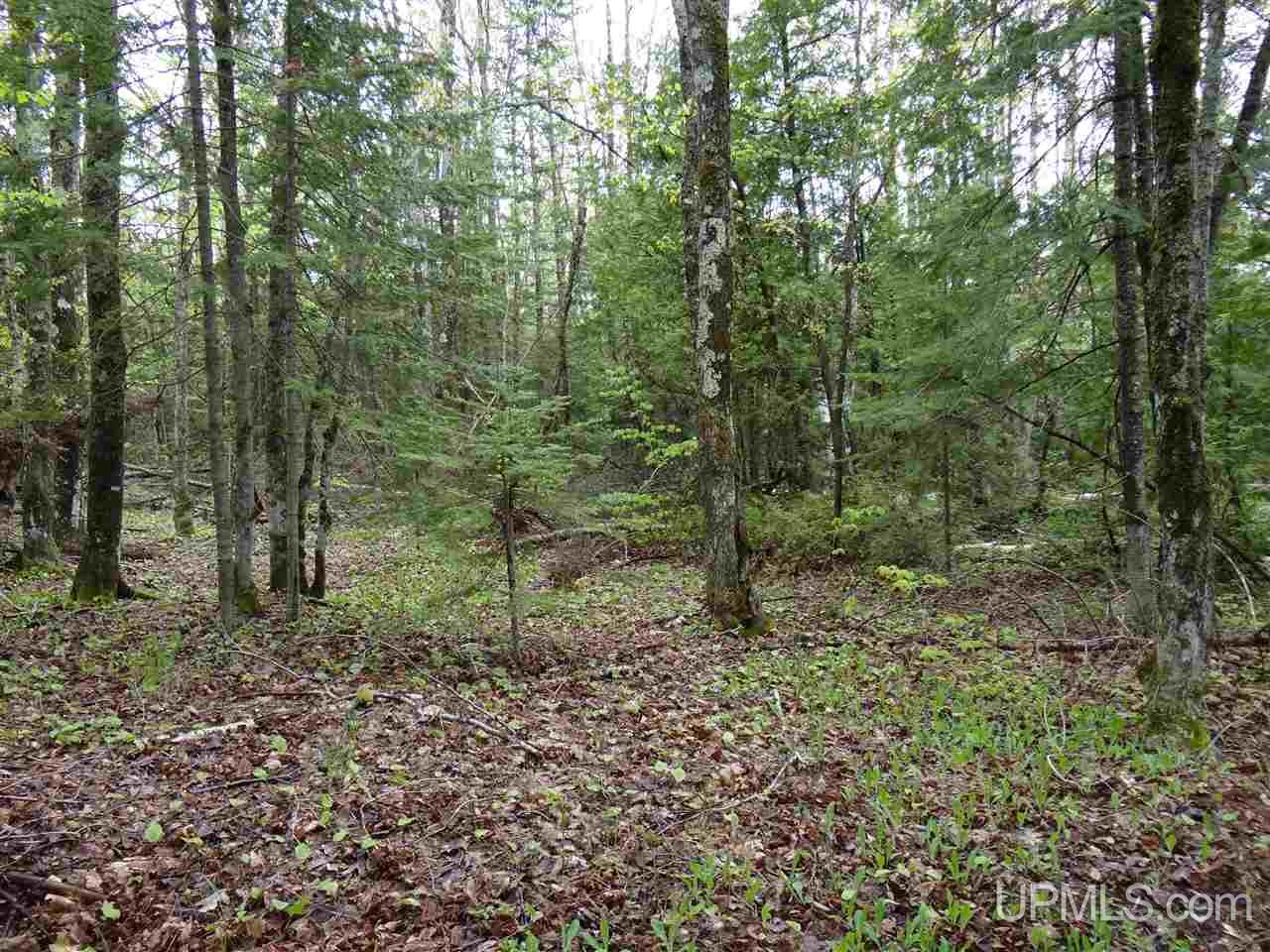 Tbd Freda Road Houghton, MI 49931 - Photo 10 of 15